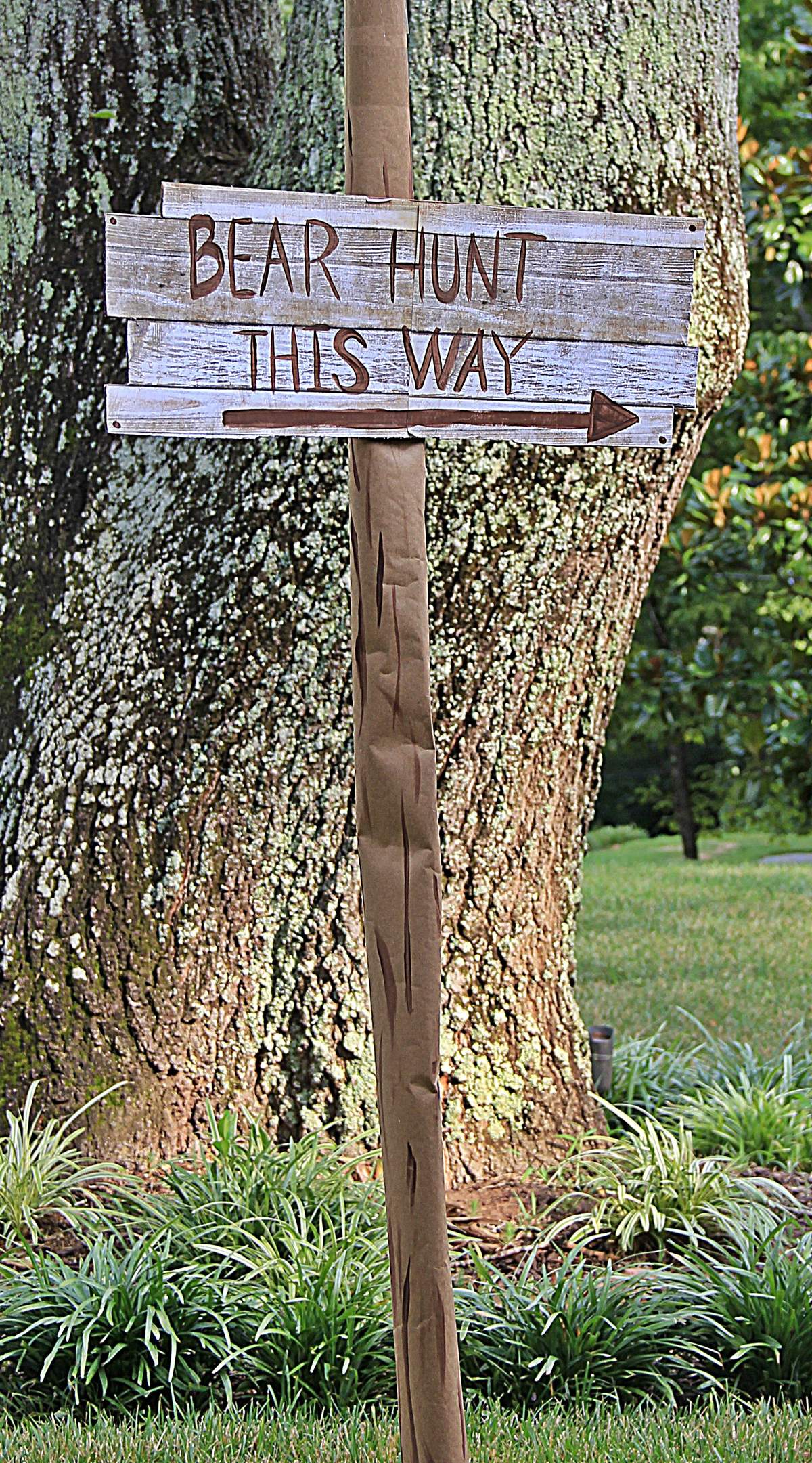 Bear Hunt Birthday Party Ideas Photo 3 of 36 Catch My Party