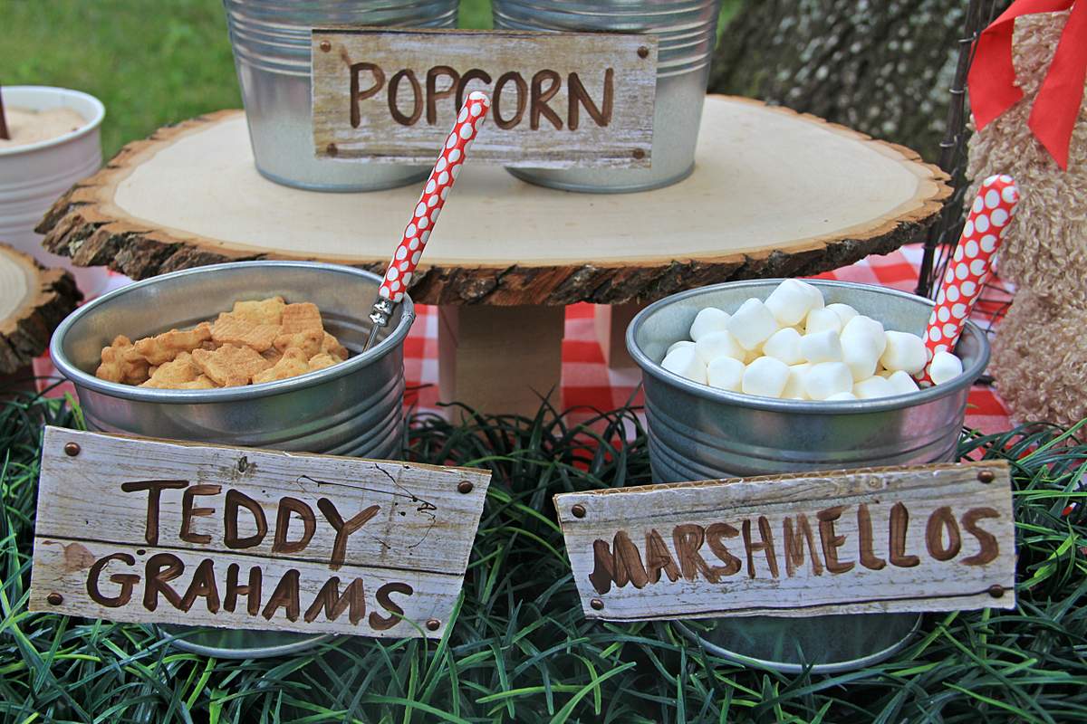 Bear Hunt Birthday Party Ideas Photo 3 of 36 Catch My Party