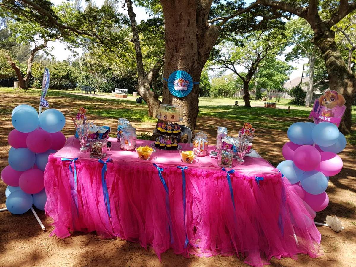 Paw Patrol Birthday Party - Paw Patrol