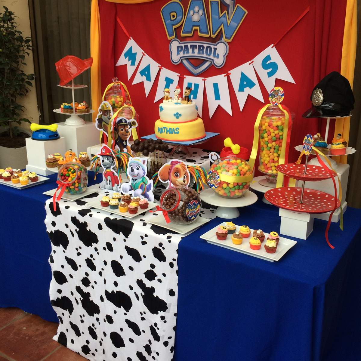 Paw patrol birthday party - Paw Patrol