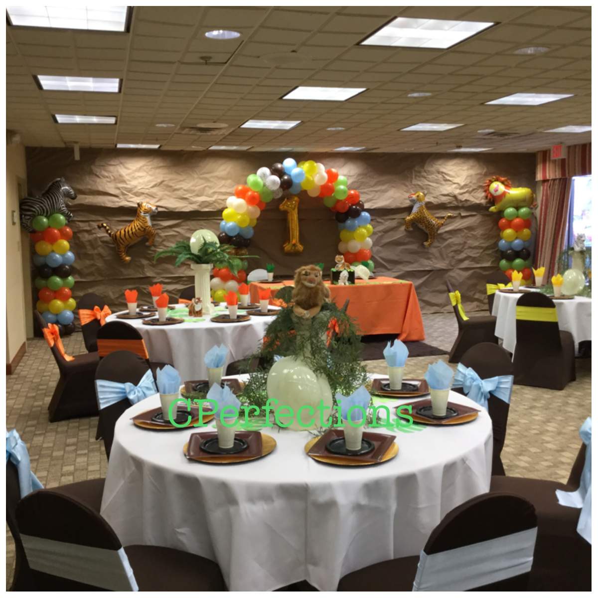 Cayson's First Birthday - Wild 1