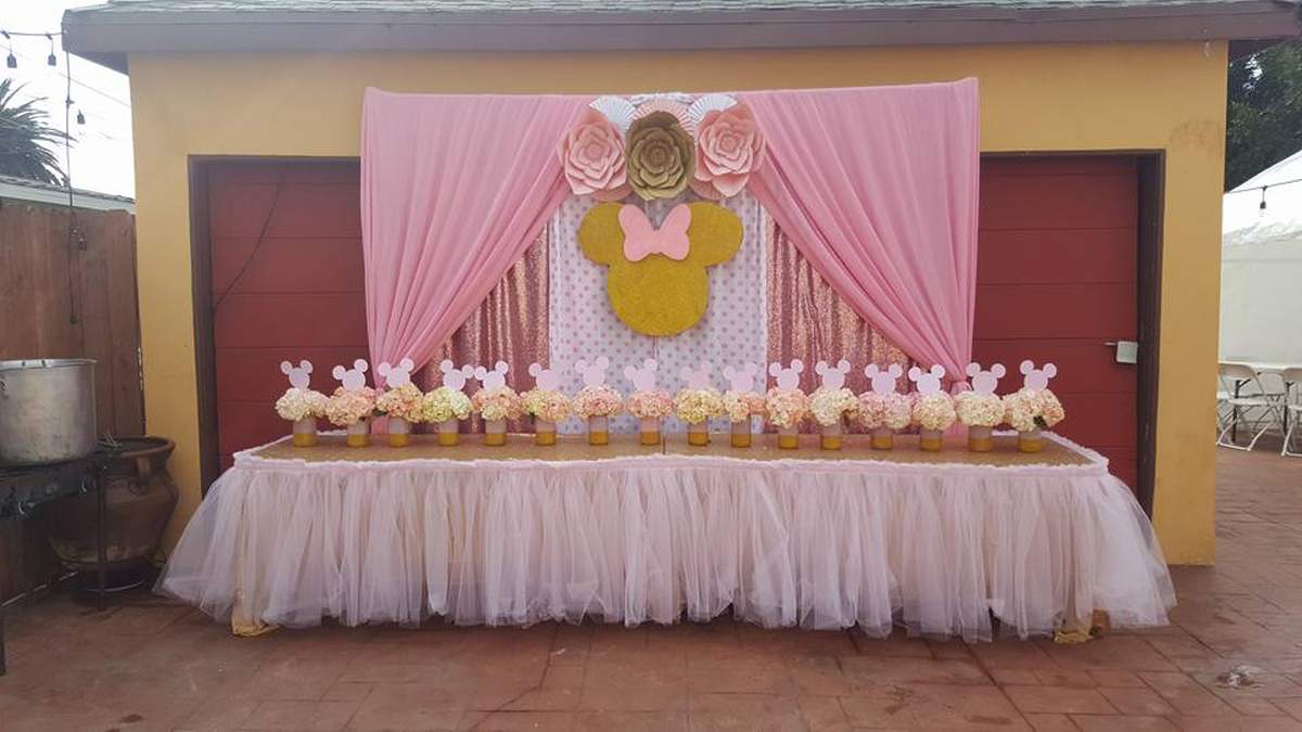 Awesome Minnie birthday bash - Minnie Mouse