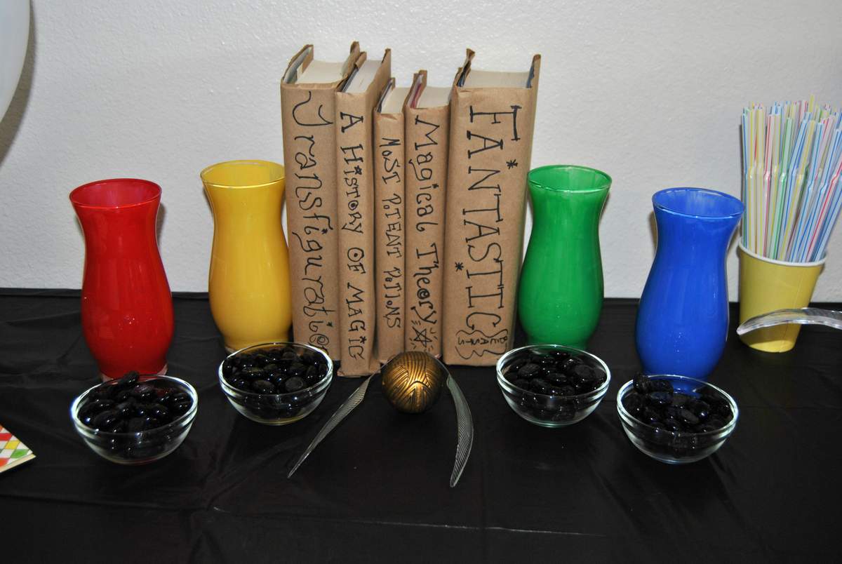 Seth's Harry Potter 12th Birthday - Harry Potter