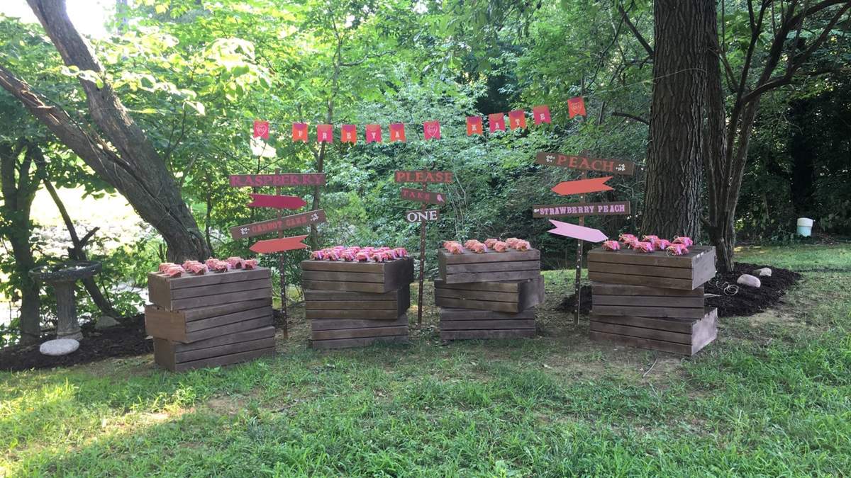My Little Peach Baby Shower - Peach