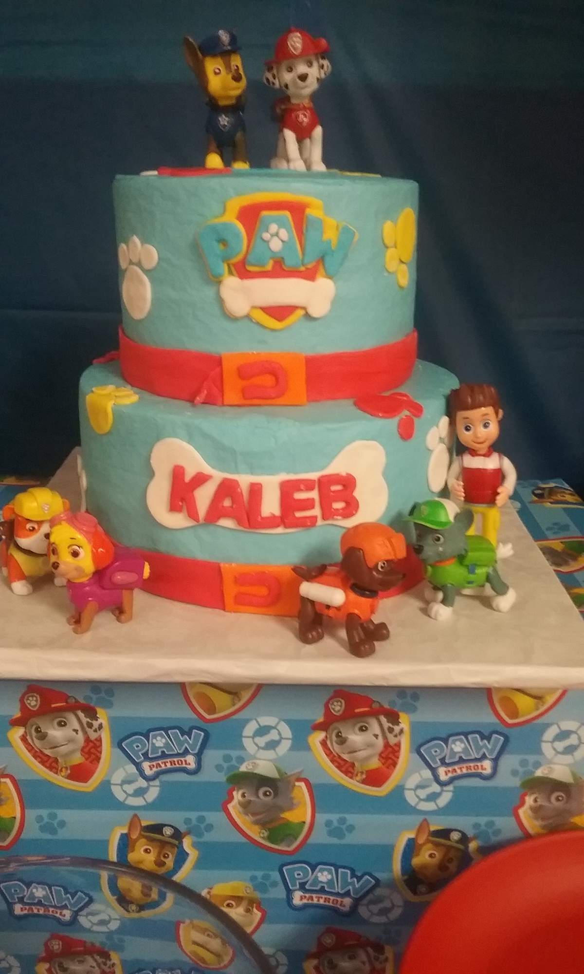 Kaleb's Paw Patrol 3rd Birthday - Paw Patrol