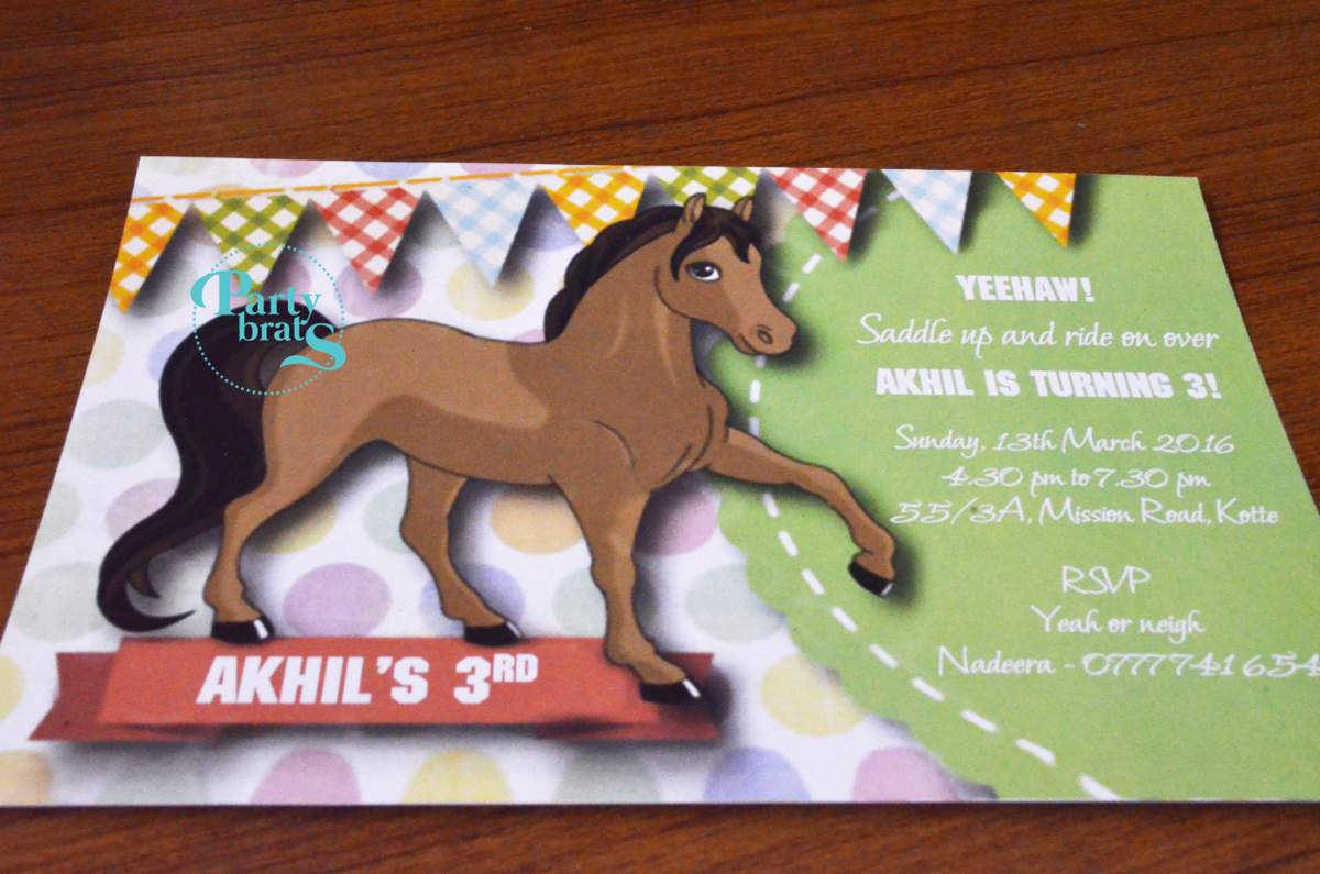 Akhil's 3rd Birthday - Pony/Horse