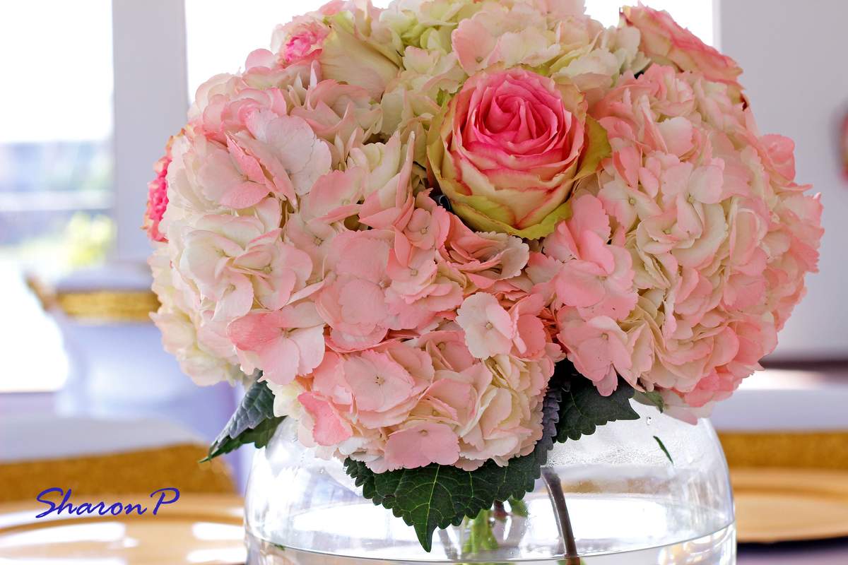 Zariya's Baby Welcoming - Princess Flowers & Tutu