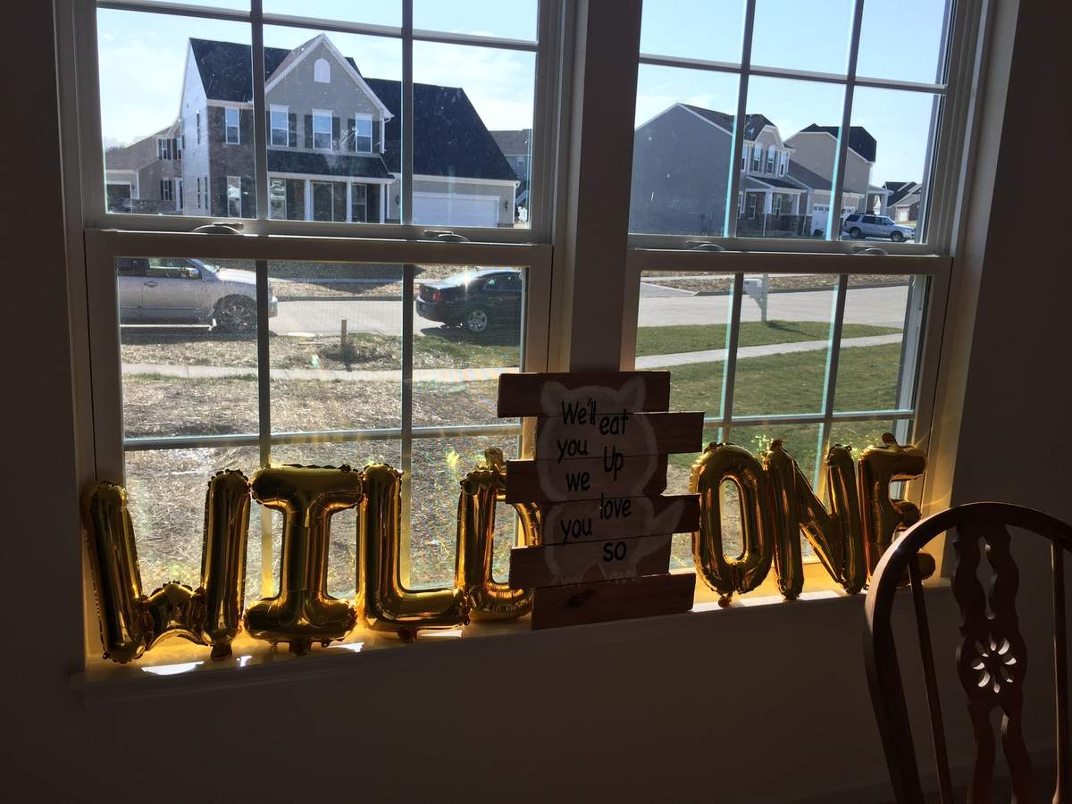 where-the-wild-things-are-birthday-party-ideas-photo-1-of-34-catch