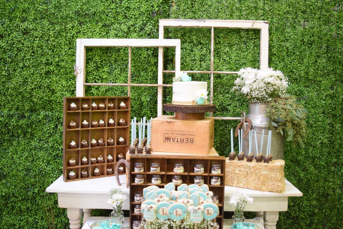 Rustic Baby Shower - None
