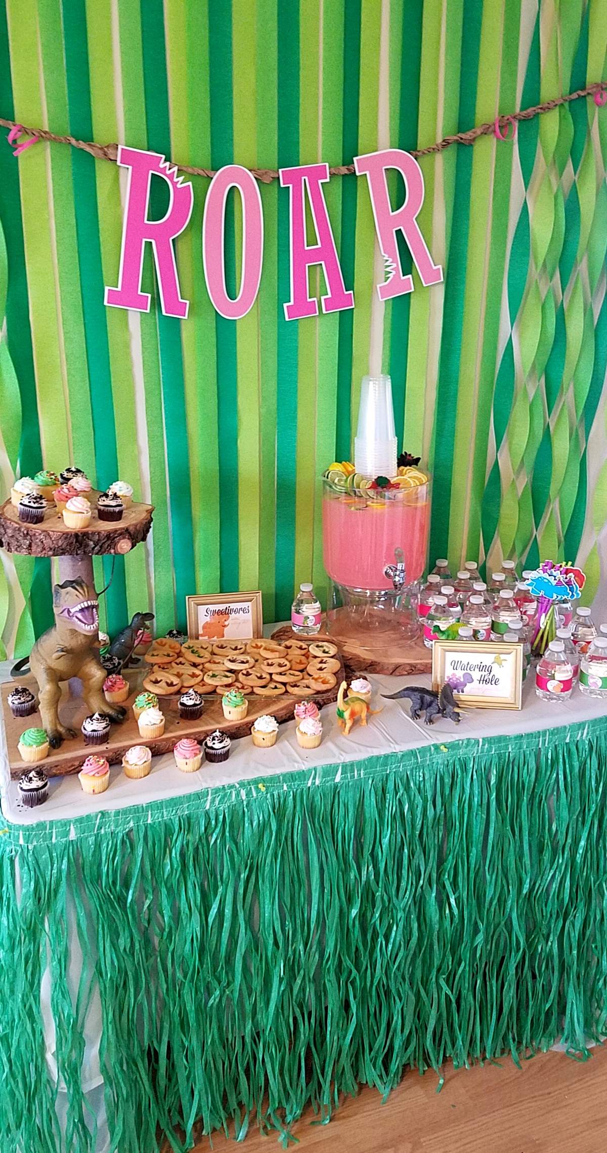 Hayslee's Roarsome Party - Dinosaurs