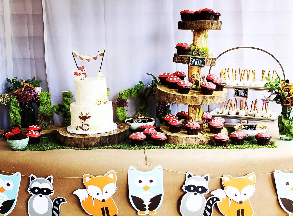 Theo's First Birthday Party - Woodland Animals, Wild One