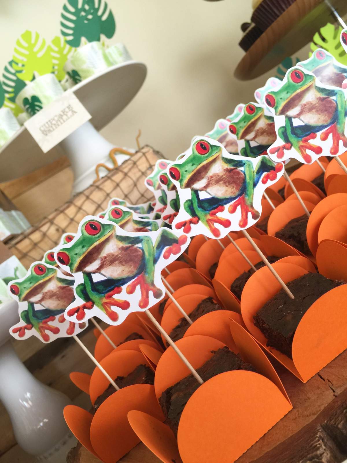 Reptile Party Birthday Party Ideas Photo 1 of 29 Catch My Party