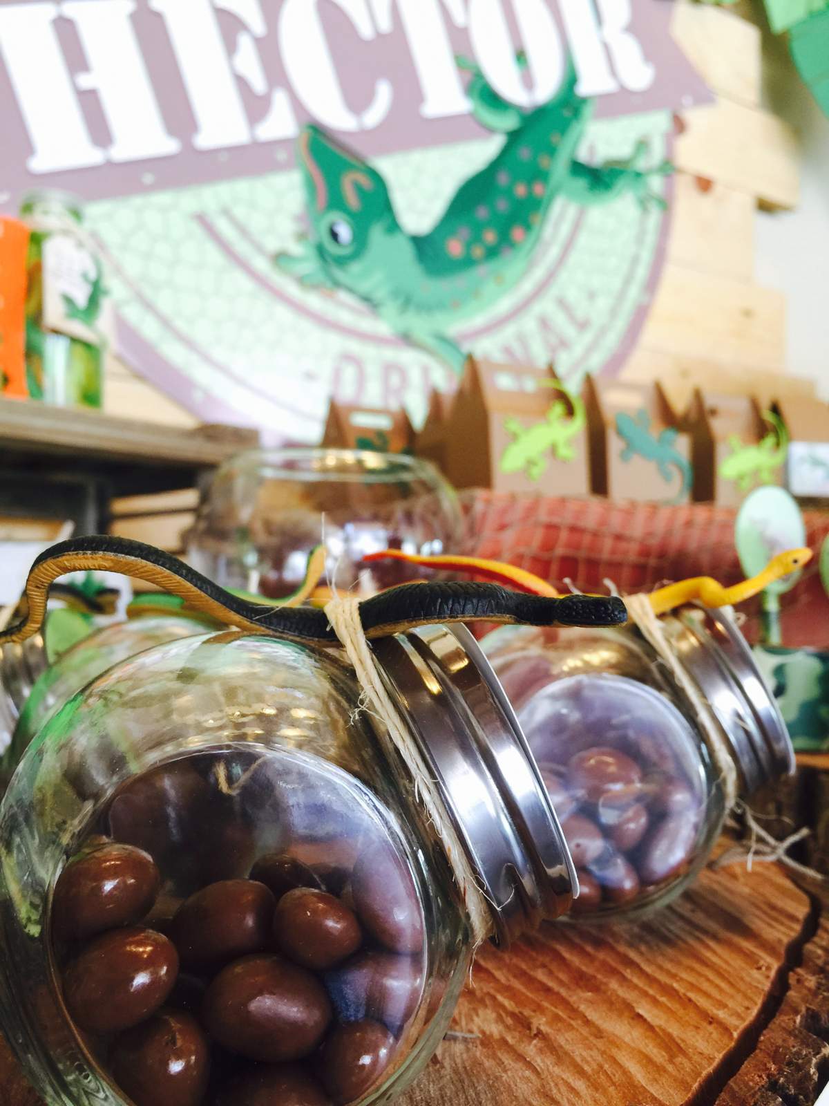 Reptile Party Birthday Party Ideas Photo 1 of 29 Catch My Party