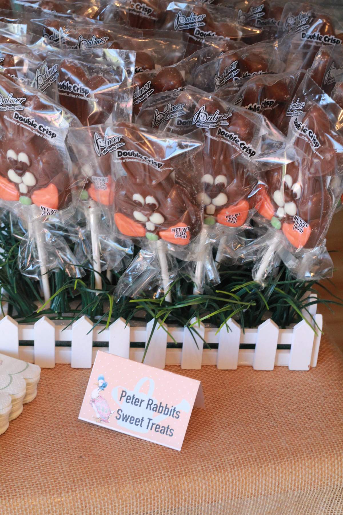 Hop on Over to Lucas's 3rd Birthday Party - Peter Rabbit