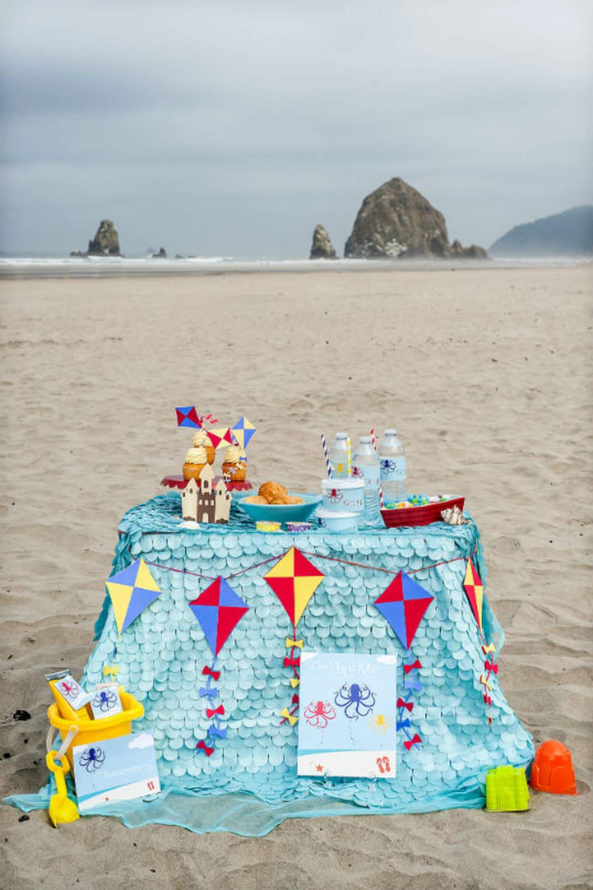 Go Fly a Kite  - Beach / Surf