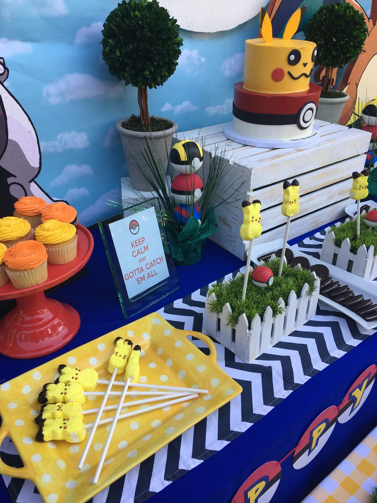 Pokemon GO Birthday Party Ideas Photo 4 of 10 Catch My Party