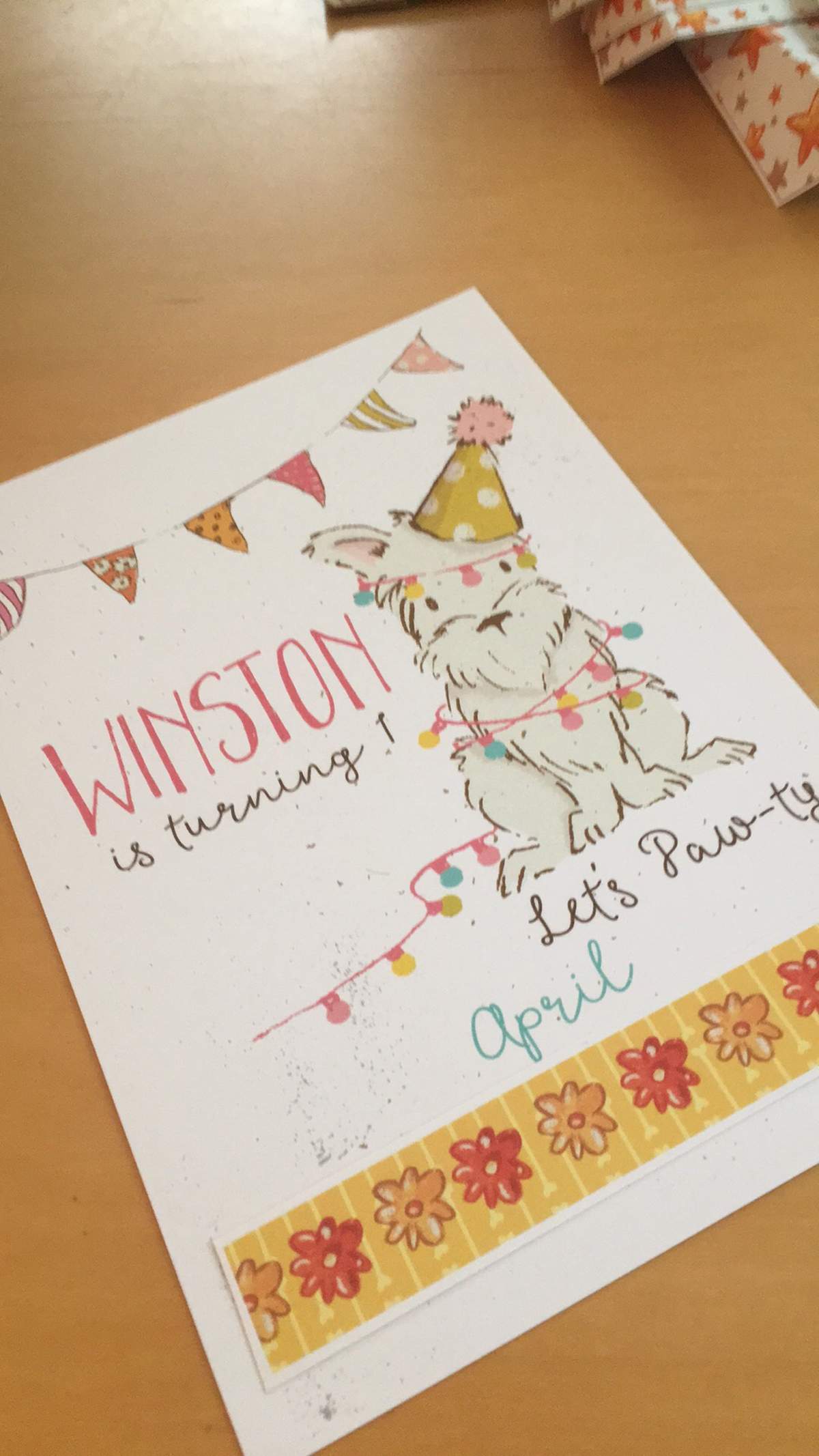 Winston a real puppy party  - Funny puppy 