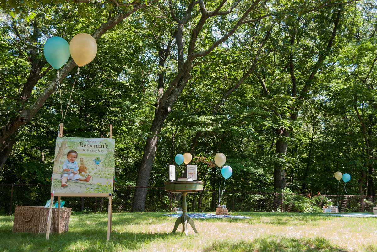 Benjamin Bunny First Birthday Party - Benjamin Bunny - Beatrix Potter