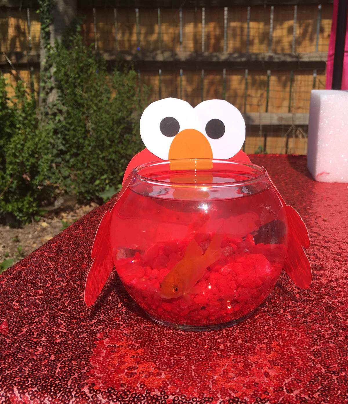 Madison Elmo Birthday Party  - Elmo
