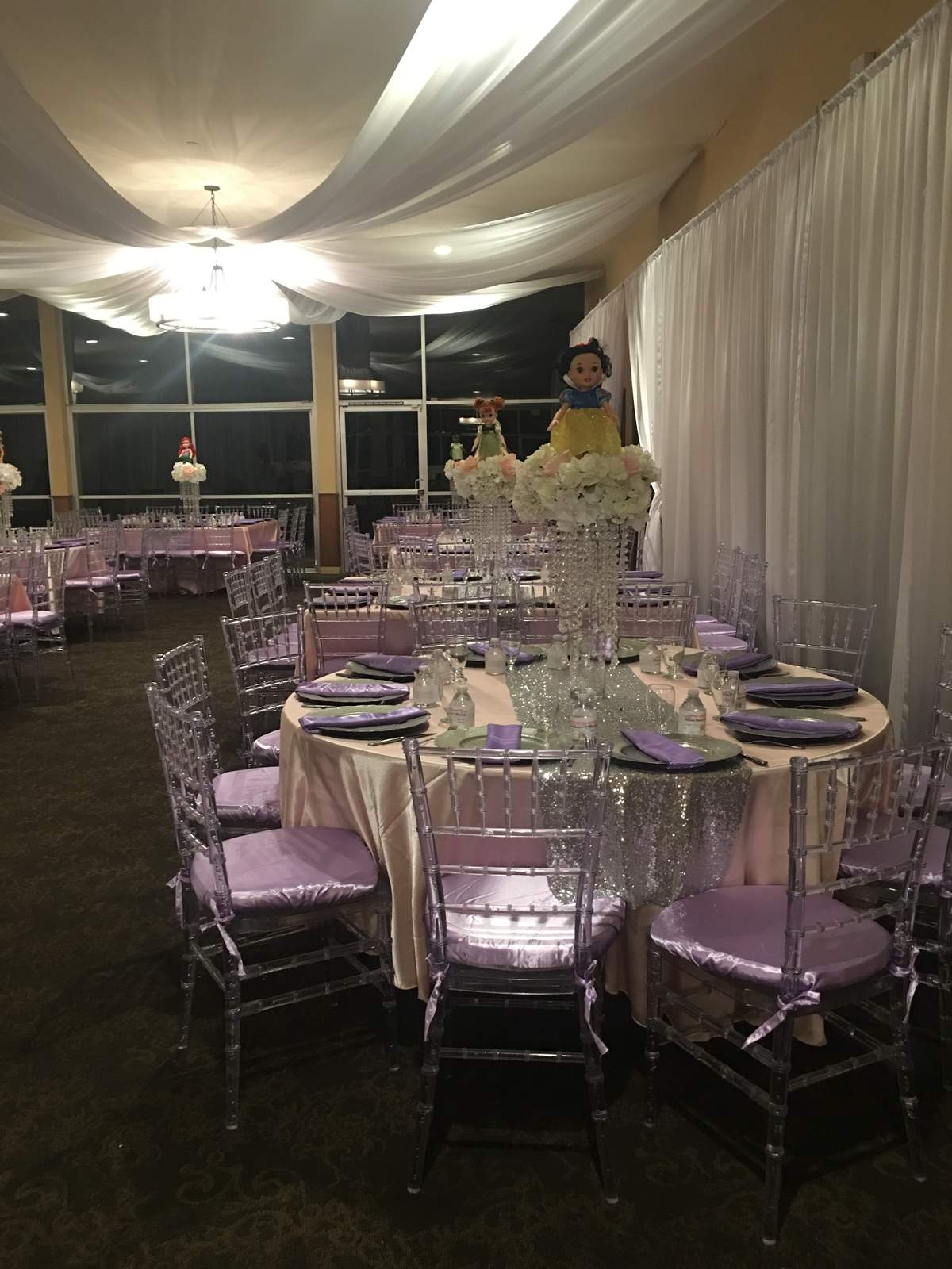 Andrea's mini Quinceañera  - Disney Princess 