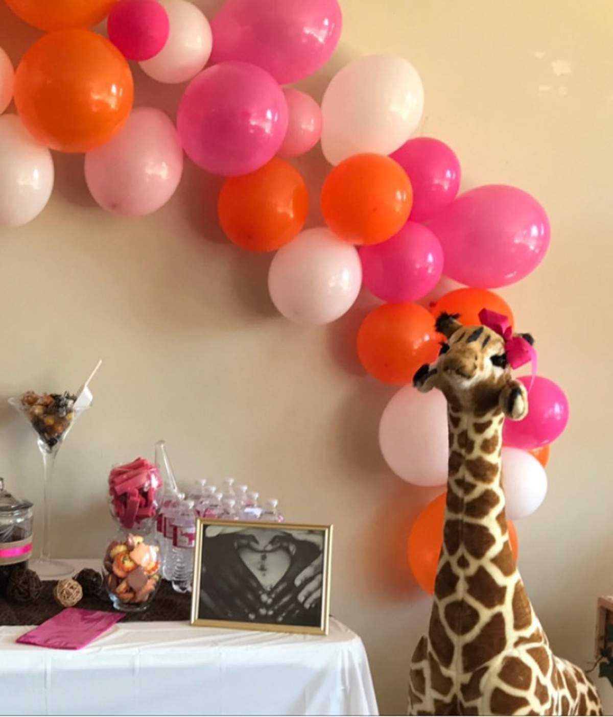 Welcoming Baby Nash - Safari