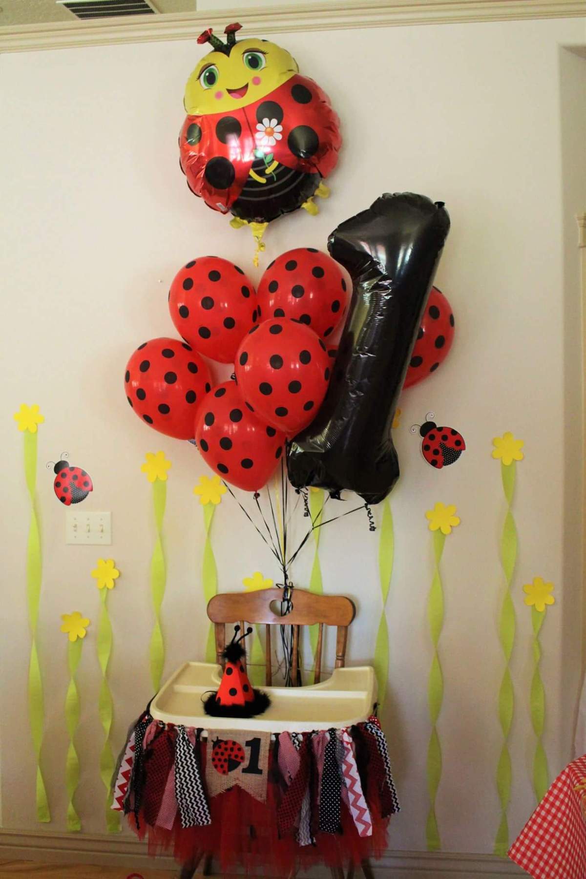 Our Little Lady Is Turning One!  - Ladybugs