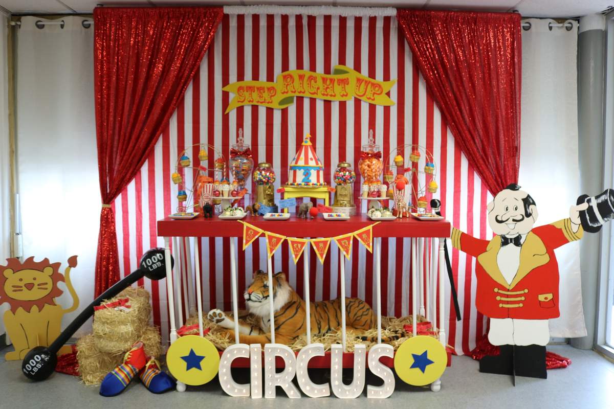 Sahara's Circus 2nd birthday party!  - Circus 