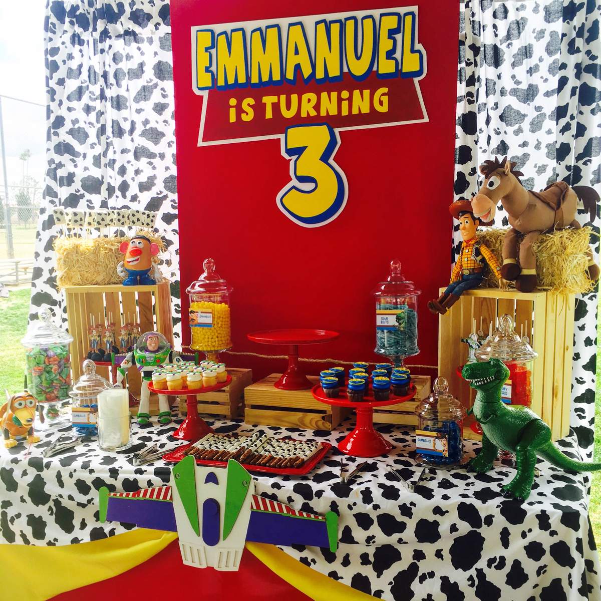 Toy Story Birthday Party Ideas Photo 1 Of 11 Catch My Party