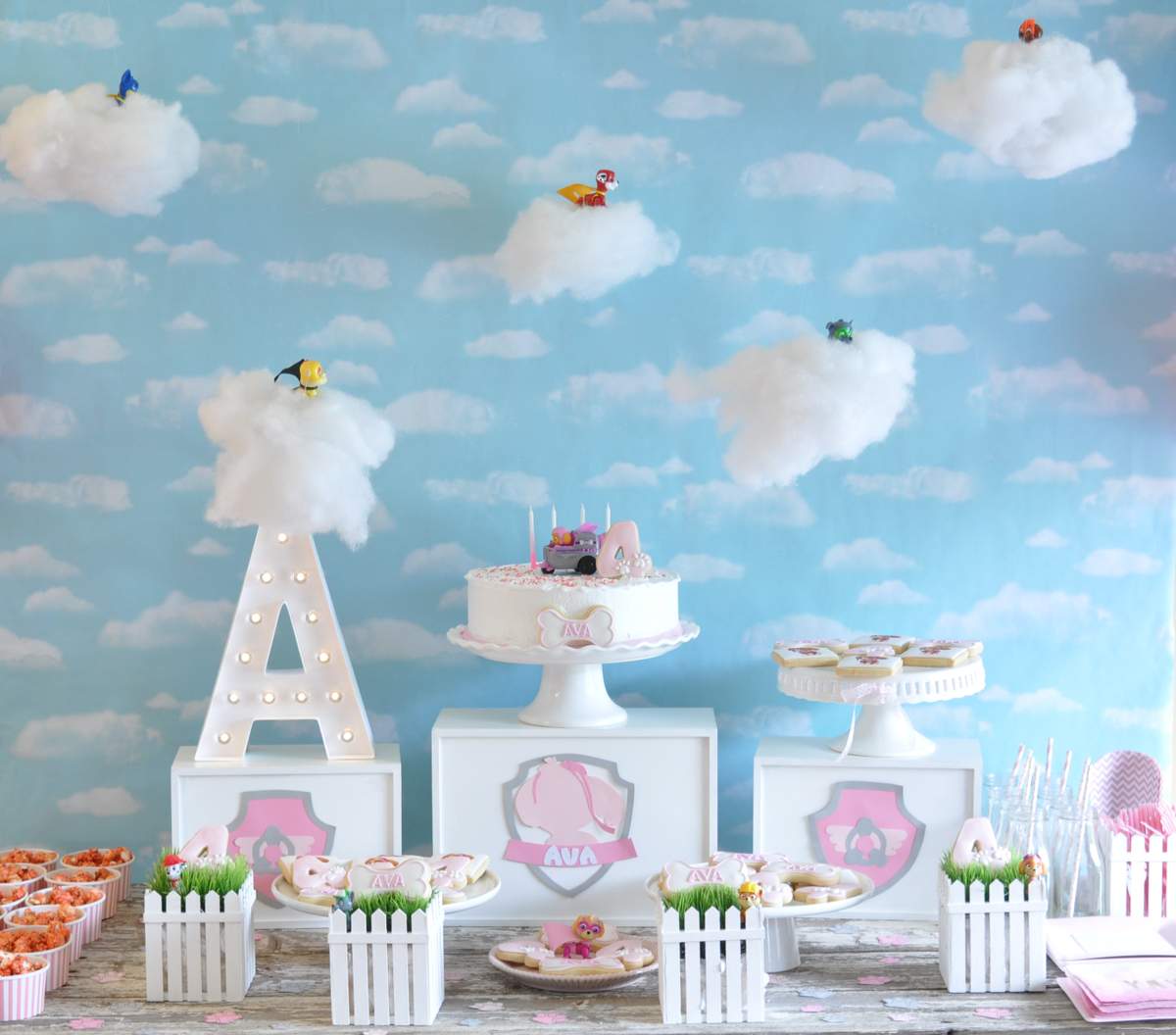 Ava's Paw Patrol Party - Paw Patrol