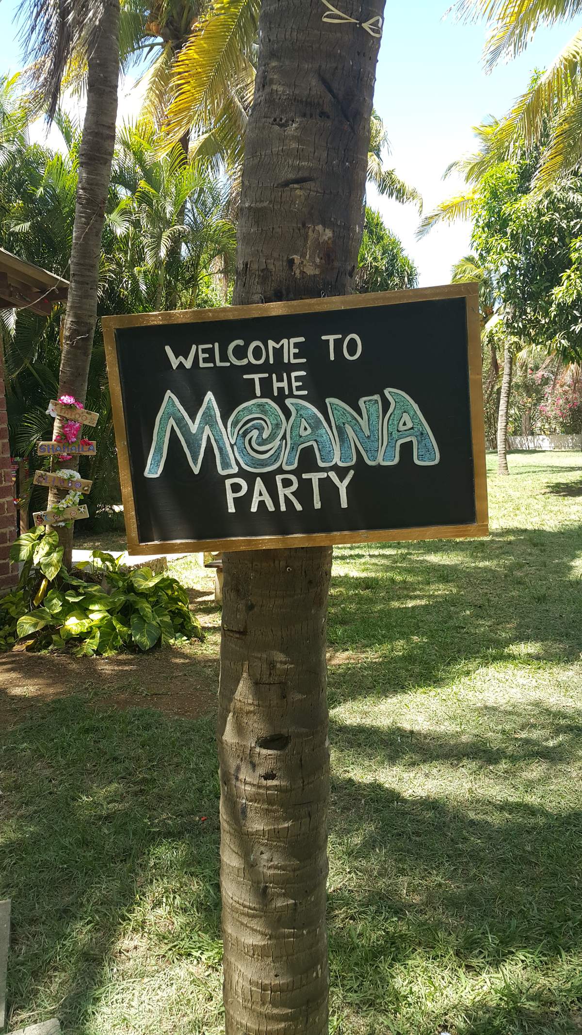 Moana tropical garden party - Moana 