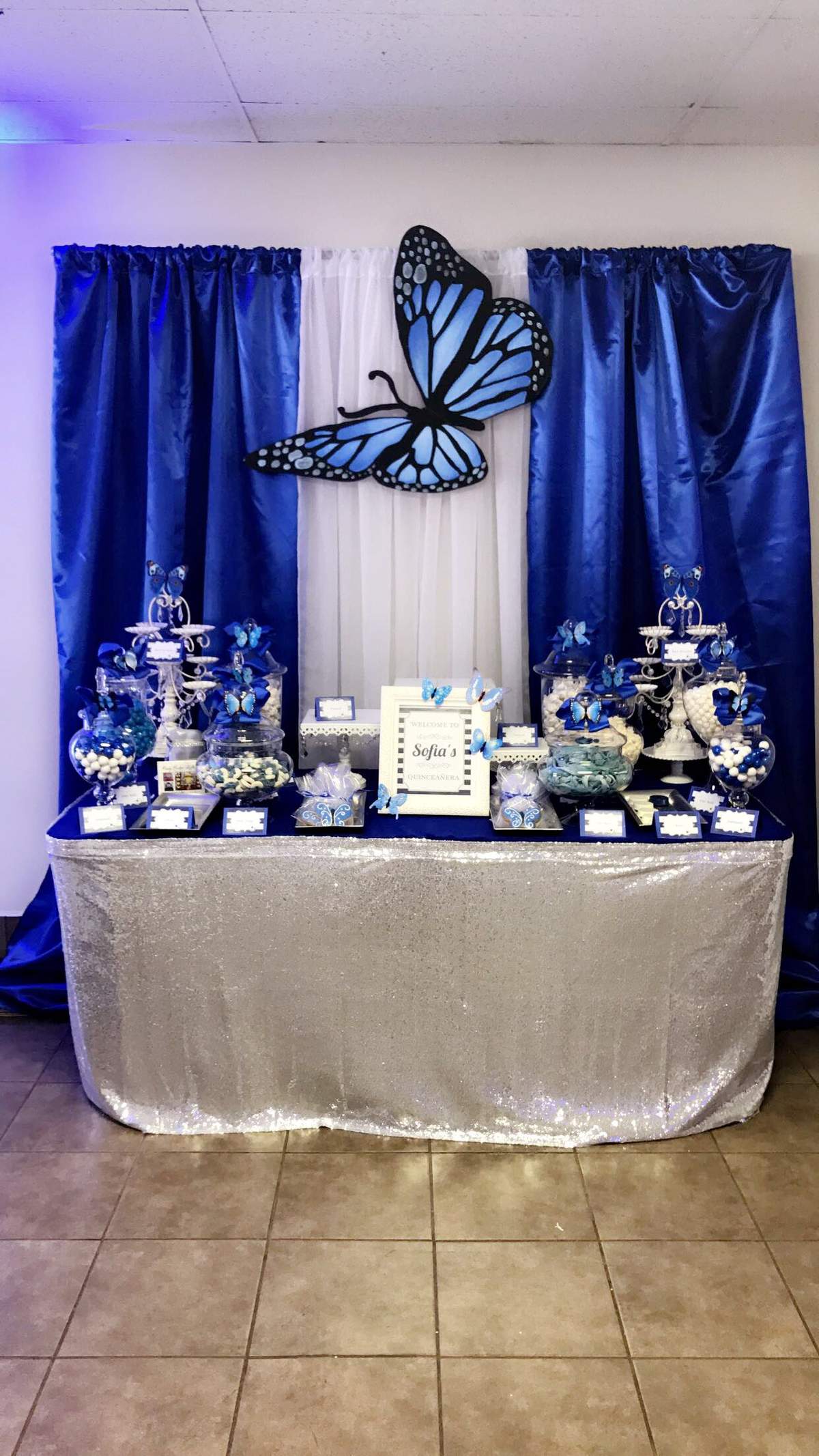 Sweet 15 - Butterflies 