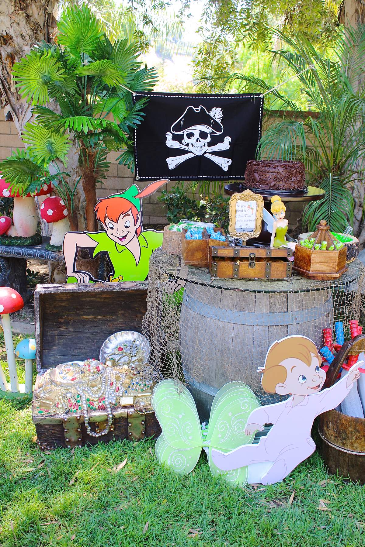 Peter Pan Birthday Party Ideas Photo 1 of 29 Catch My Party