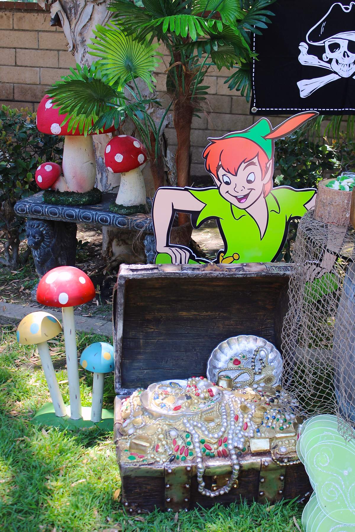 peter-pan-birthday-party-ideas-photo-1-of-29-catch-my-party