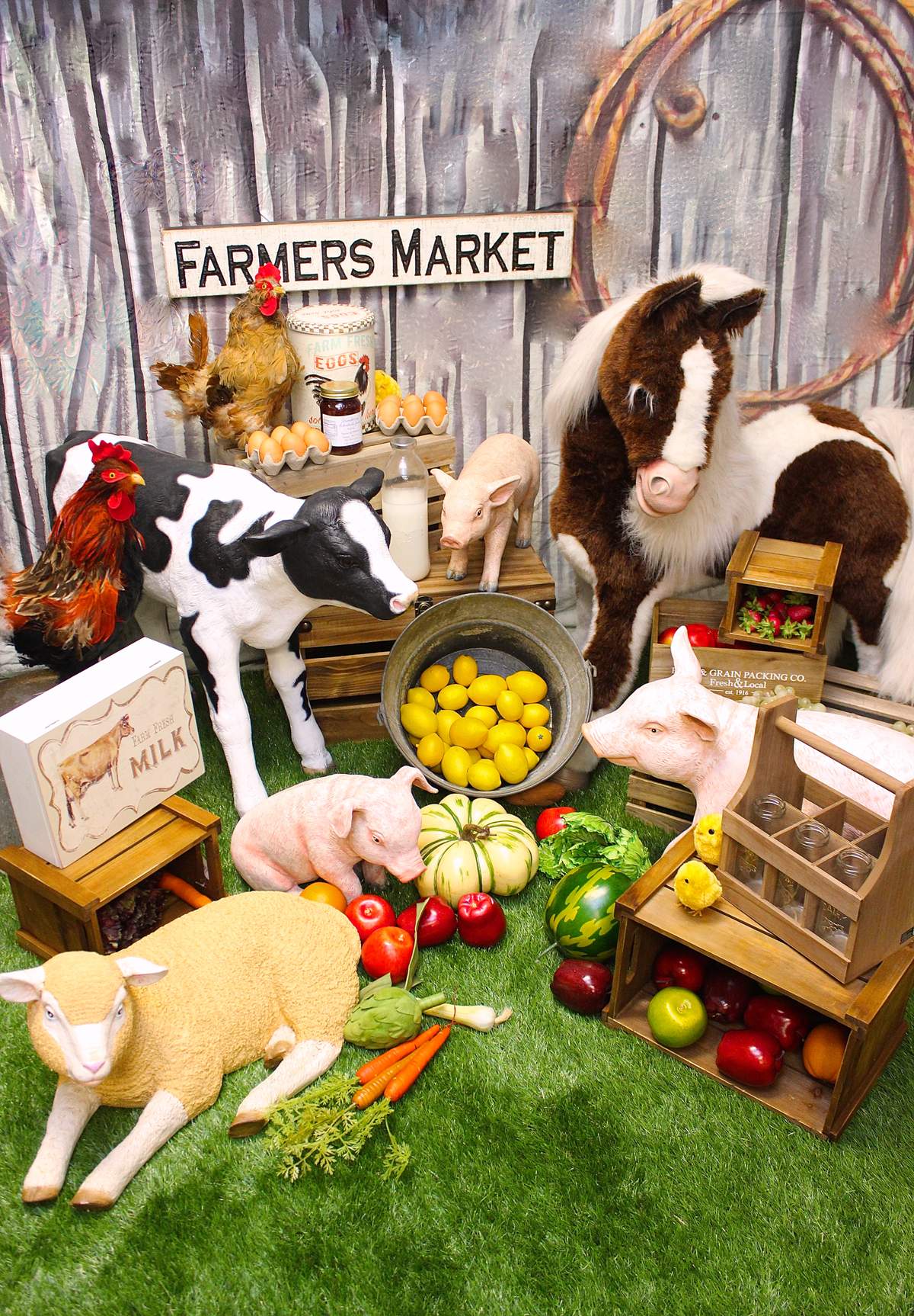 Old McDonald, had a Farm, E,I,E,I,O - Farm