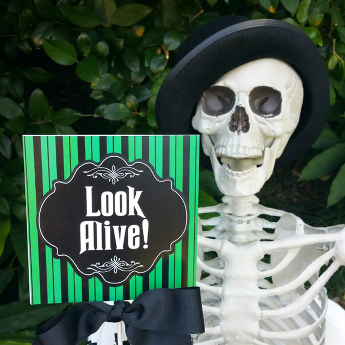 Haunted Mansion Inspired Halloween Spooktacular - Haunted House