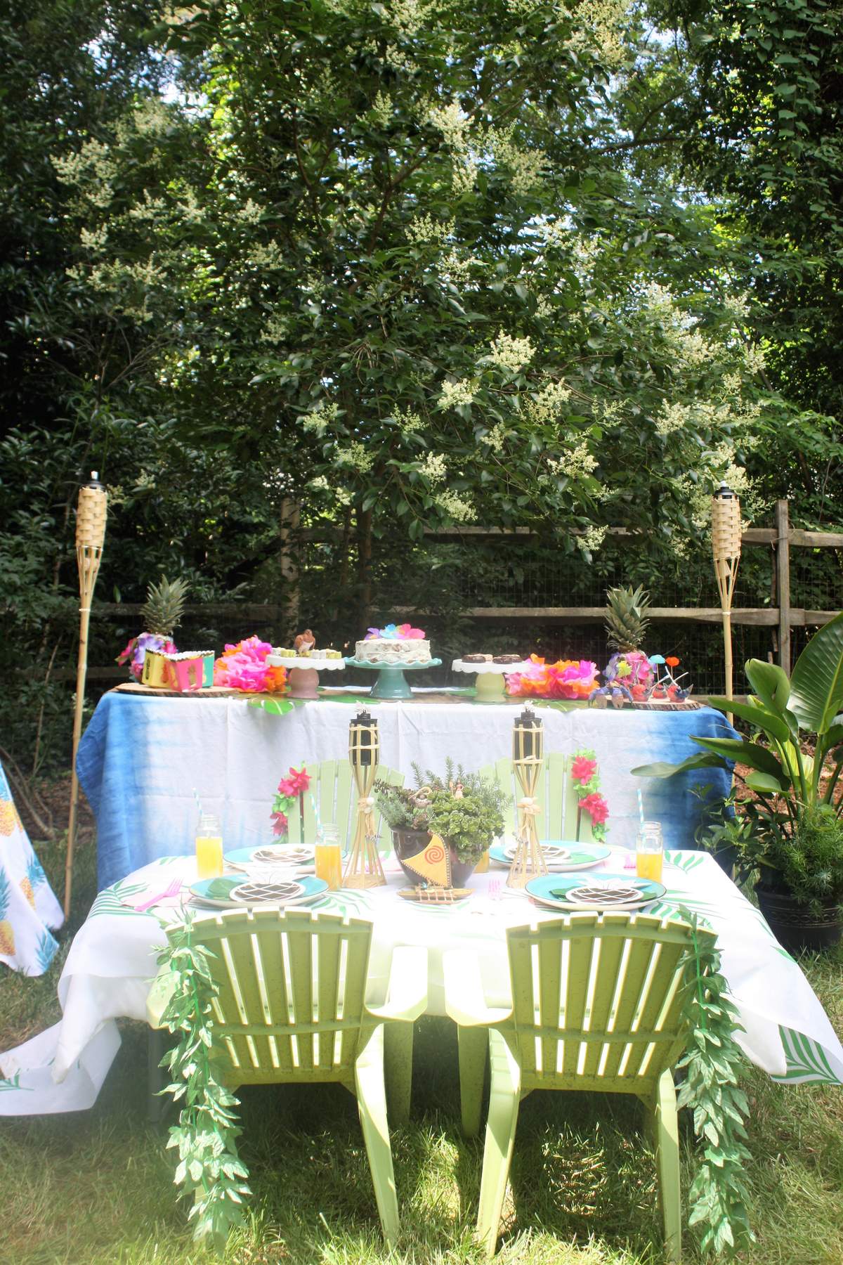 Moana Summer Party - Moana 