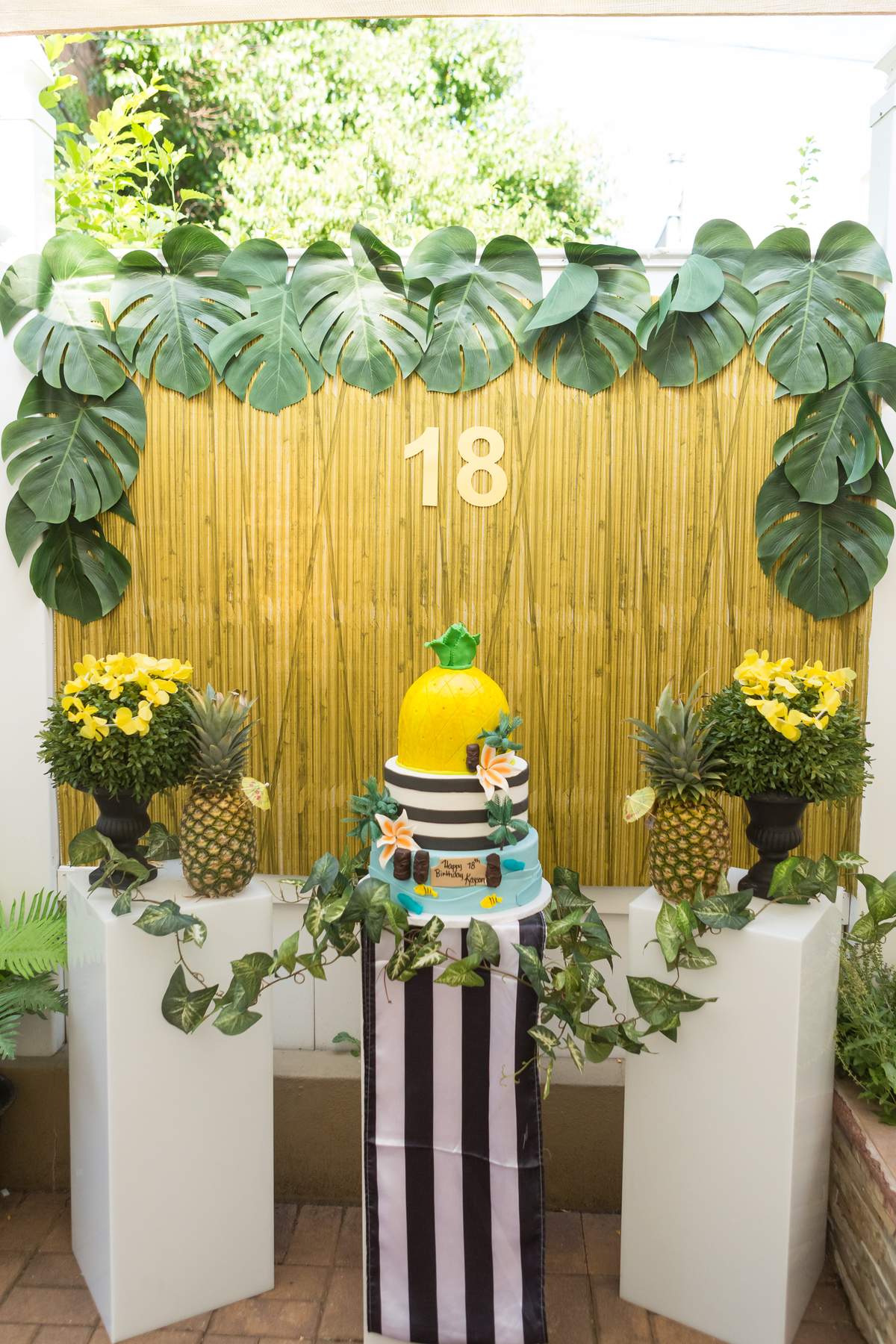 Kayson's 18th Luau  - Luau / Hawaiian /Pineapple 