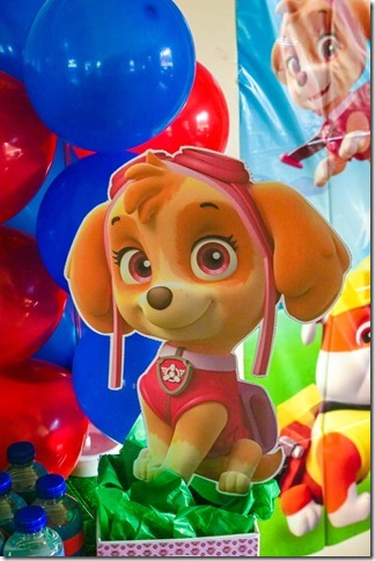 Paw Patrol / Birthday paw-patrol-birthday-paw-patrol-birthday-party-celebration-catch-my-party