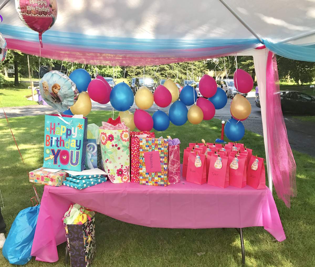 Makennas Shimmer and Shine 5th Birthday  - Shimmer and Shine