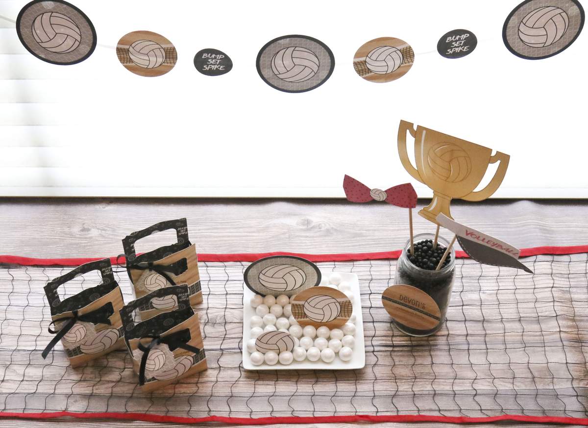 Volleyball Birthday Party Ideas Photo 5 of 8 Catch My Party