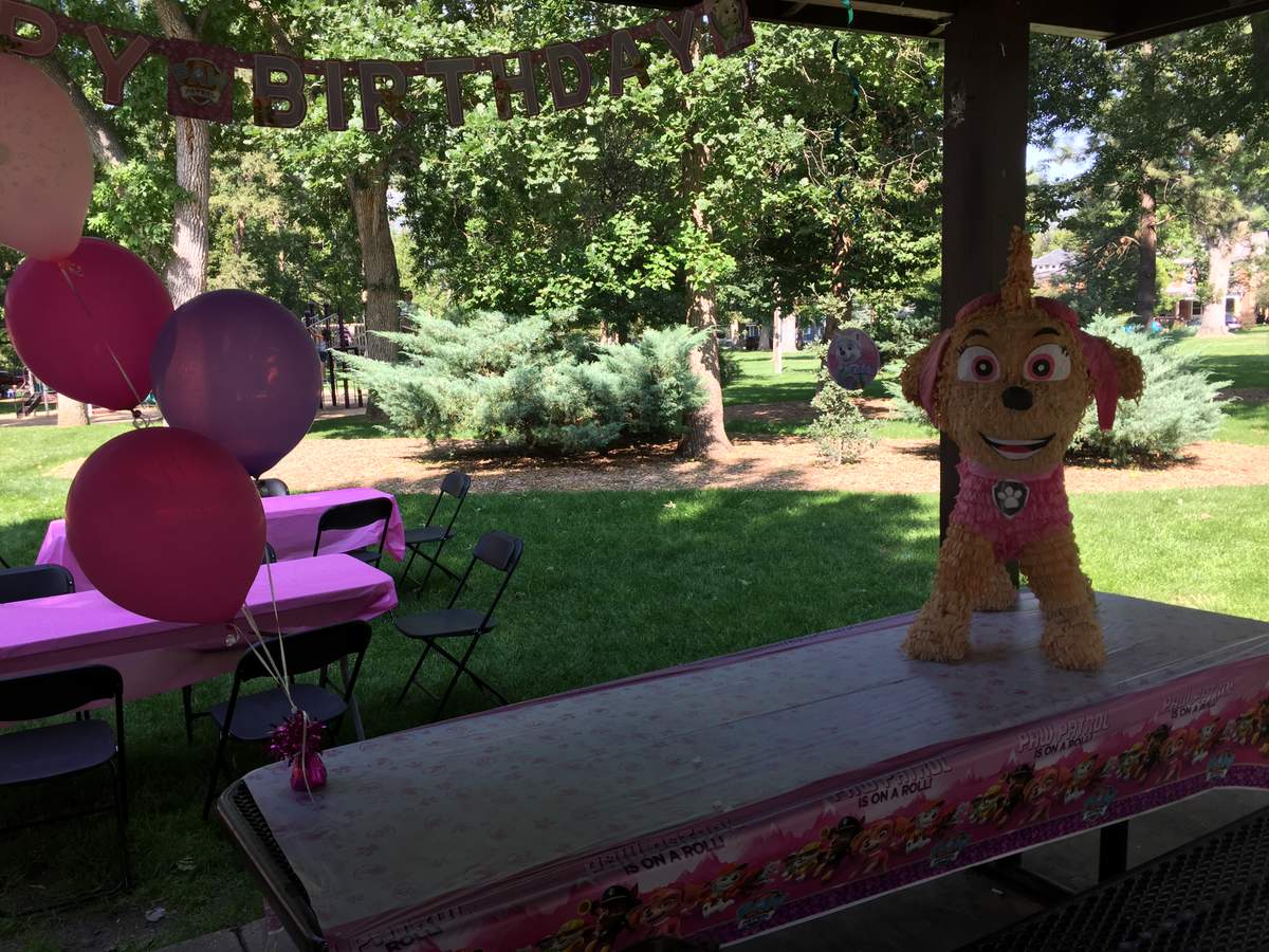 Yareli's Paw Patrol 3rd Birthday Party - Paw Patrol