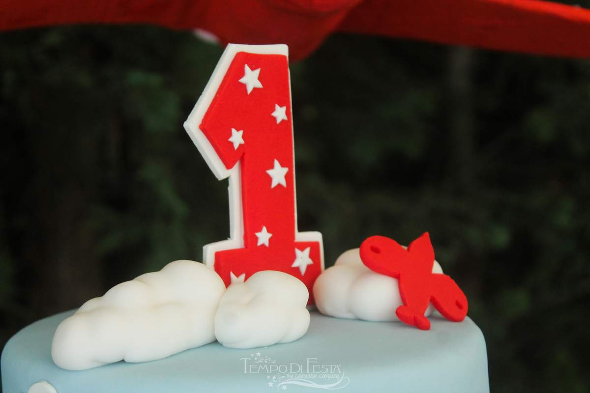 Diego First Birthday Party  - Airplanes