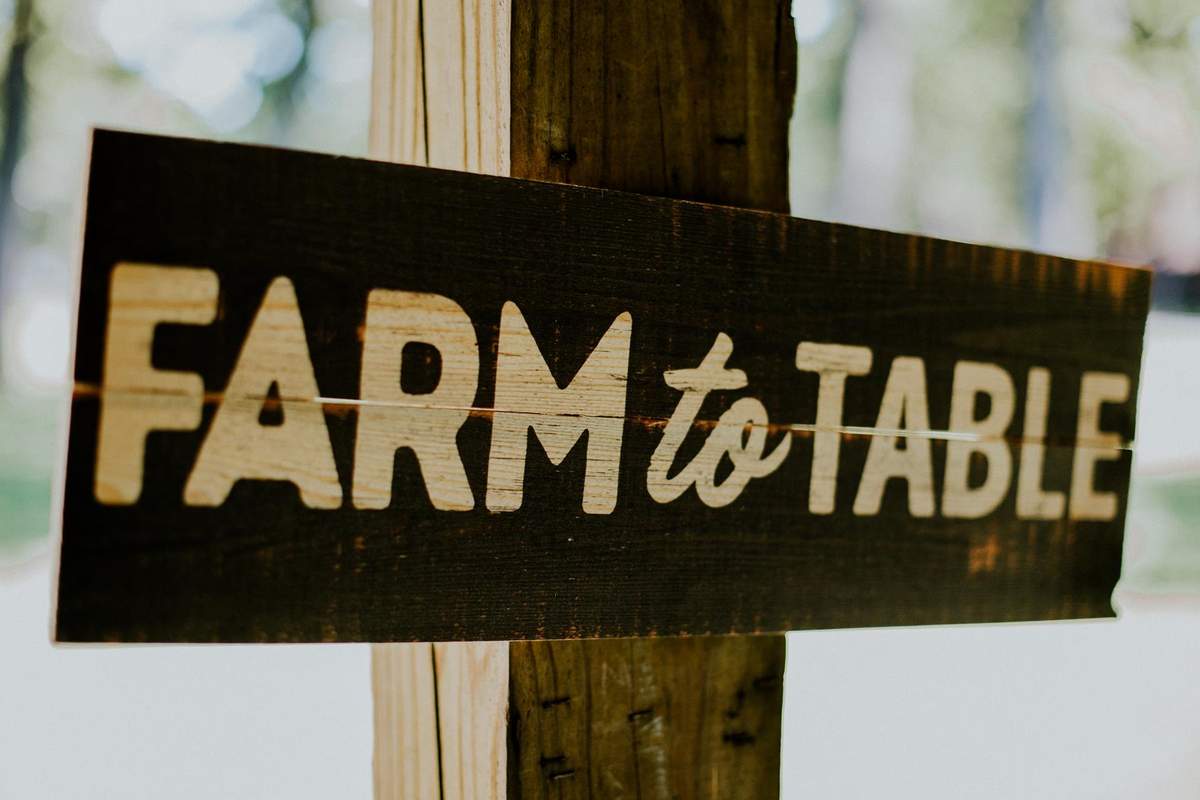 Modern Vintage Farm Party - Farm