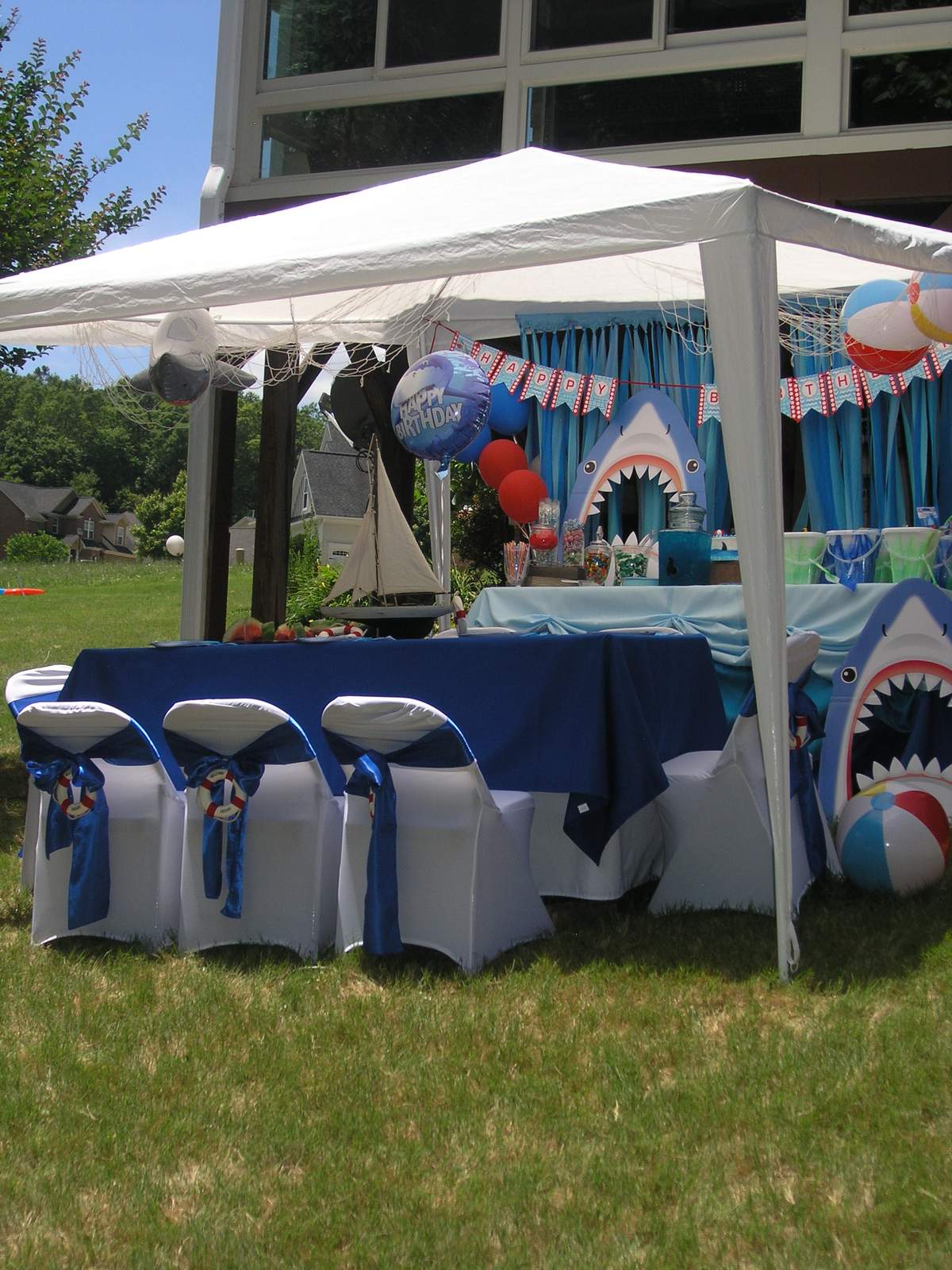 SHARK-A-NANZIA BIRTHDAY CELEBRATION - Sharks