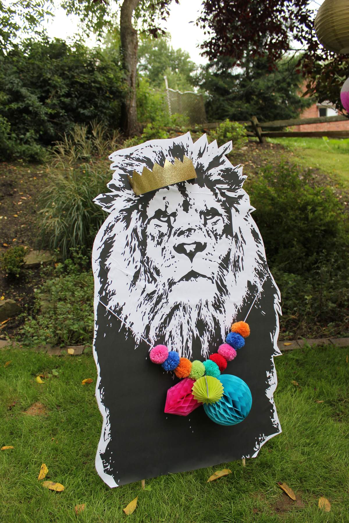 party-animal-birthday-party-ideas-photo-2-of-61-catch-my-party