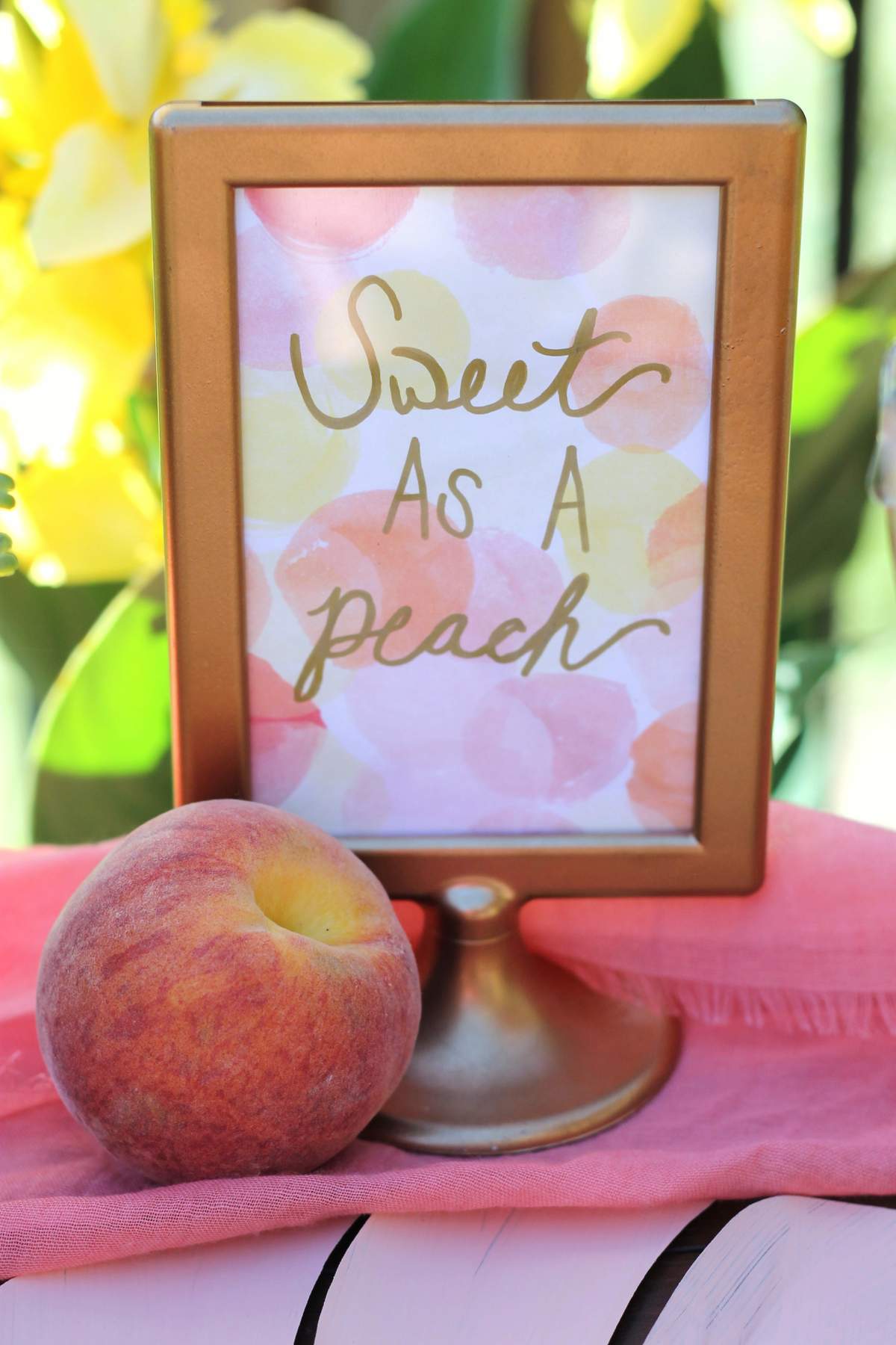 Peaches Baby Shower Party Ideas Photo 1 of 13 Catch My Party