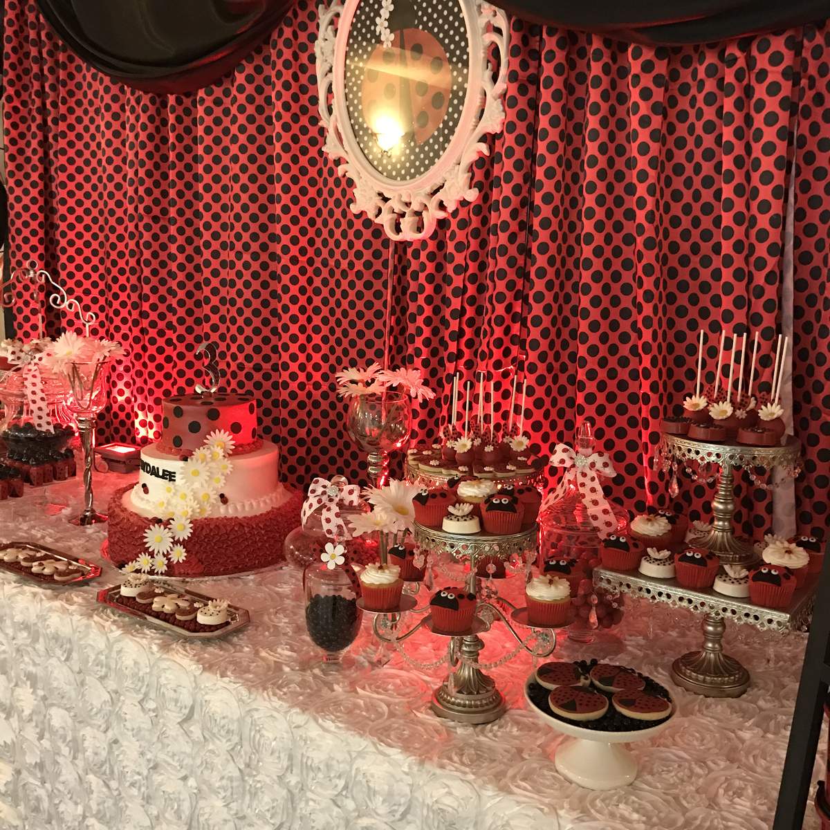 Jaydalee's LadyBug Birthday Party - Ladybugs