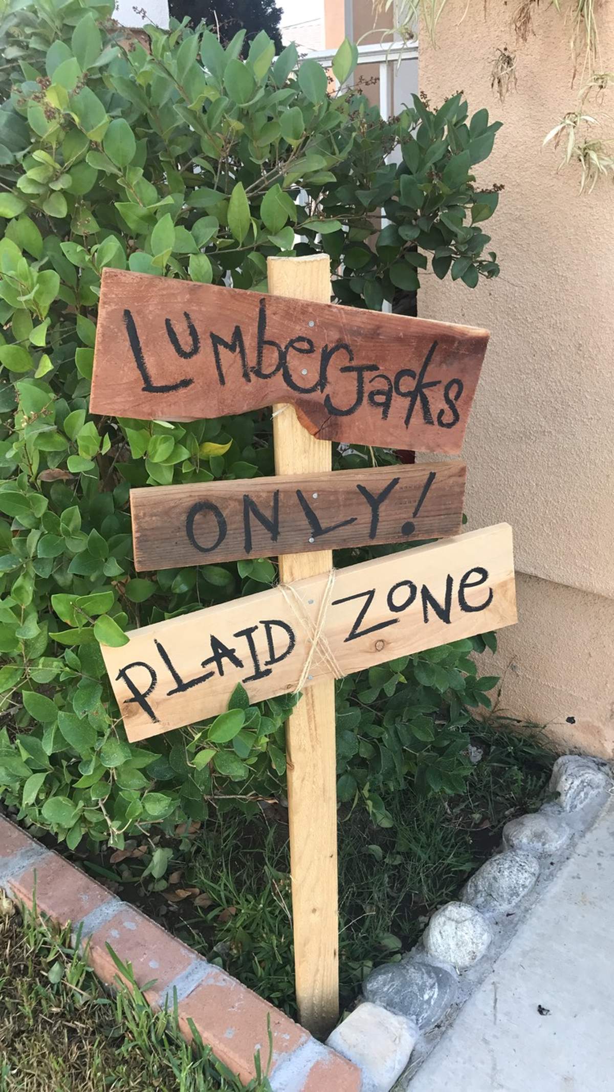 1st Lumberjack  - Lumberjack