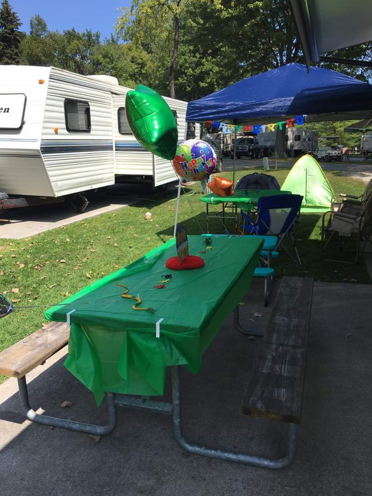 Snakes / Reptiles / Birthday