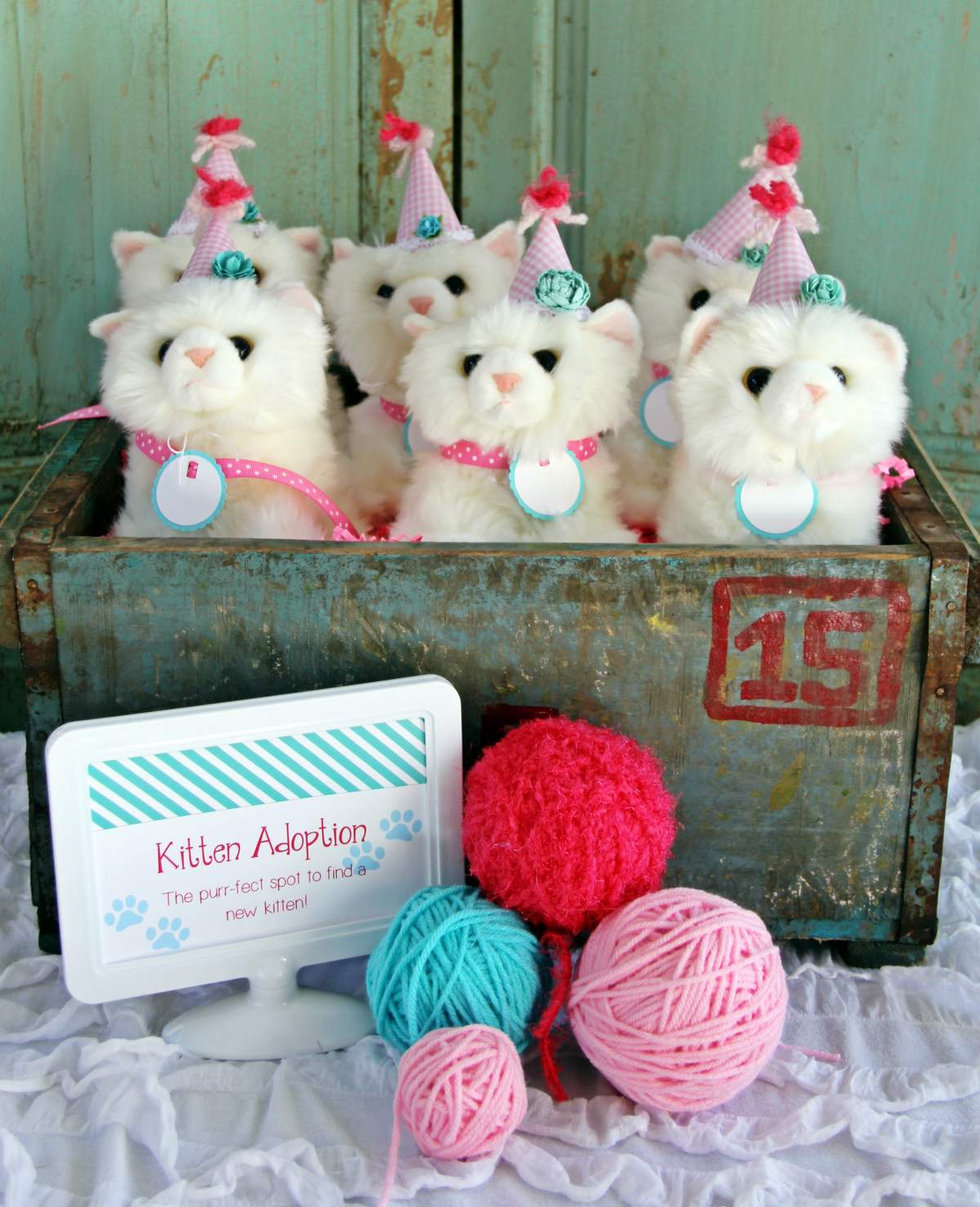 kitten-adoption-birthday-party-ideas-photo-1-of-23-catch-my-party